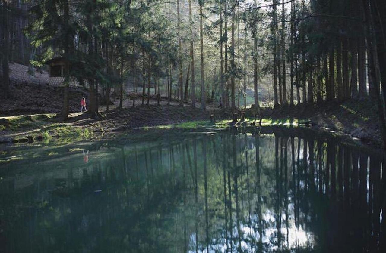 Ferienhaus "Schmetterling" Am See Im Bergland 基希海姆 外观 照片